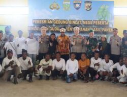 Food Estate Mulai Berhasil, Jagung Dipanen di Dusun Yanemyo 8 Food Estate Mulai Berhasil, Jagung Dipanen di Dusun Yanemyo