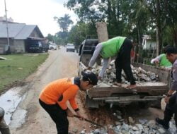 Cegah Kecelakaan Lalu Lintas, Jalan Berlubang Ditutupi dengan Batu 11 Cegah Kecelakaan Lalu Lintas, Jalan Berlubang Ditutupi dengan Batu