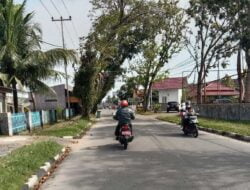 Dua Tahun Lalu Permohonan Diajukan, Pohon Pelindung di Desa Kampung Baru Pariaman tak Kunjung Dipotong 5 Dua Tahun Lalu Permohonan Diajukan, Pohon Pelindung di Desa Kampung Baru Pariaman tak Kunjung Dipotong
