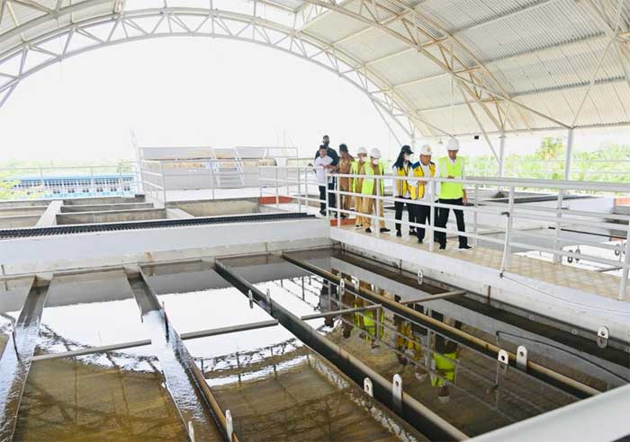 tinjau proyek