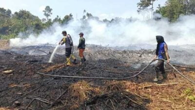 25 Hektare Hutan Terbakar di Bengkalis