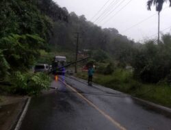 Tiang Listrik Tumbang di Palupuh, Akses Padang-Medan Terhalang