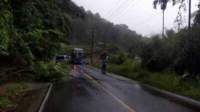 Tiang listrik yang tumbang di Palupuh