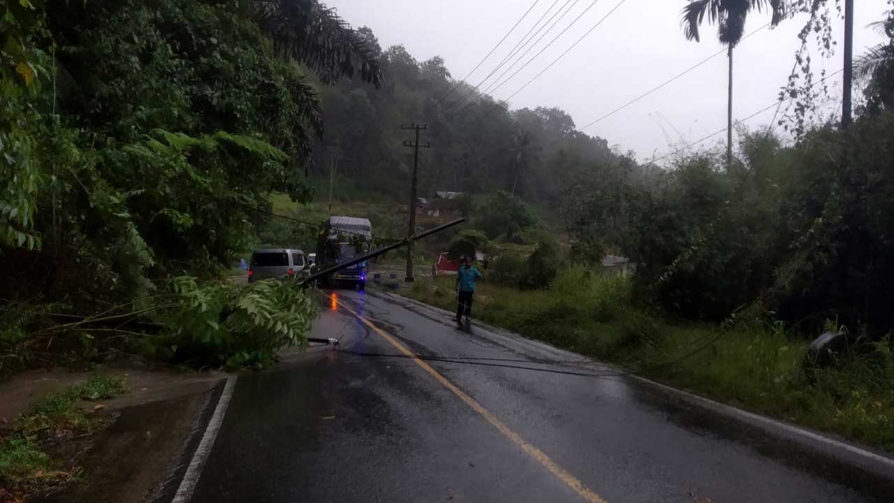 Tiang listrik yang tumbang di Palupuh