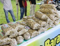 Nagari Sawah Tangah Kaya Kuliner, Nasi Padeh Lamak Bana, Kacang Randang Terkenal Pula