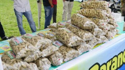 Nagari Sawah Tangah Kaya Kuliner, Nasi Padeh Lamak Bana, Kacang Randang Terkenal Pula