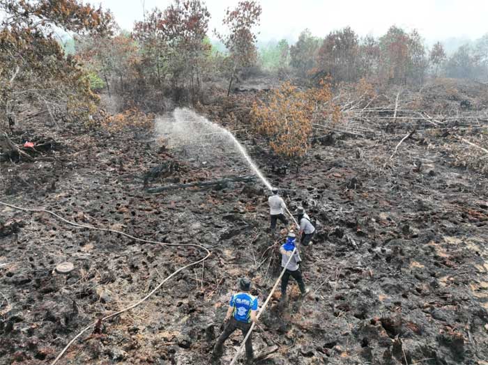 Petugas gabungan padamkan api di lahan yang terbakar