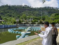 Sambut Wisatawan, Istano Basa Pagaruyung Bersolek