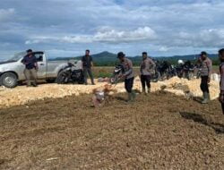 Sukseskan Food Estate Jagung, Polres Keerom Kerahkan Tim Khusus