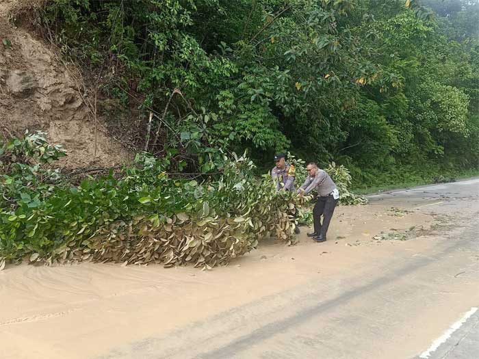 Petugas evakuasi pohon tumbang di lintas Sumatera. (tribrata)