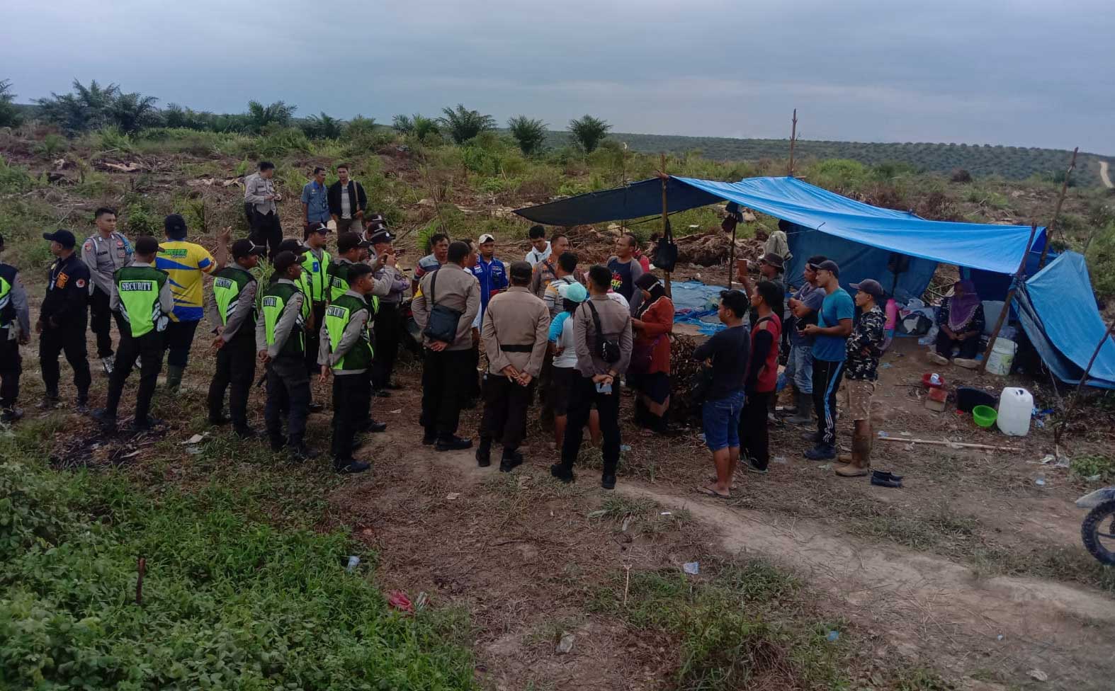 Warga protes upaya sebuah perusahaan yang hendak menguasai lahan mereka. Warga berkemah di kebun sawit. (RM)