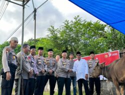 Polres Dharmasraya Salurkan Tiga Hewan Kurban