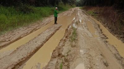 Jalan yang rusak parah di Kuansing. Jalan ini menjadi penghubung antar desa.