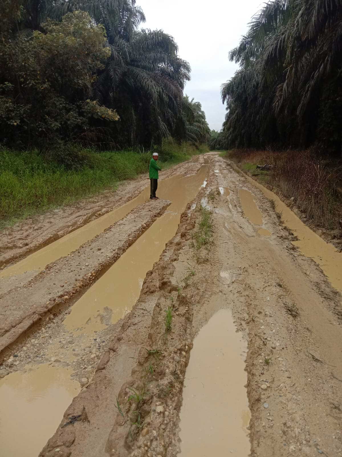 Jalan yang rusak parah di Kuansing. Jalan ini menjadi penghubung antar desa.
