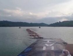 Diduga Ilegal Loging, Kayu dari Pangkalan Dihanyutkan ke Riau