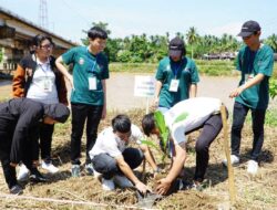 Mahasiswa dari Empat Negara Tanam Pohon Aren di Dharmasraya 2 Mahasiswa dari Empat Negara Tanam Pohon Aren di Dharmasraya