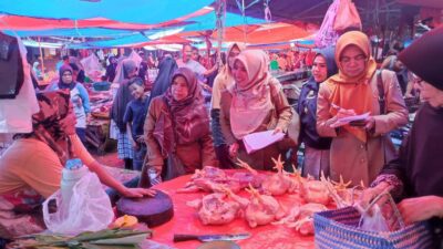 1.000 Sapi Tersedia di Pasar Ternak Muaro Paneh, Berikut Kisaran Harganya