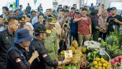 Gubernur dan Menteri Pertanian tinjau lokasi Penas Tani di Lanud Sutah Syahrir, Padang.