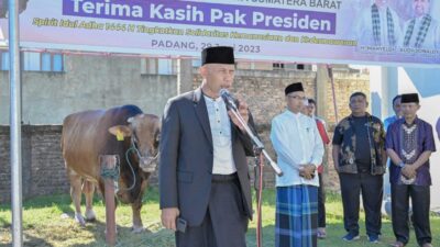 Presiden Joko Widodo Berkurban di Sumbar, Ini Berat Sapi dan Harganya