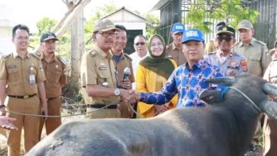 Bupati Pesisir Barat serahkan hewan kurban secara simbolis