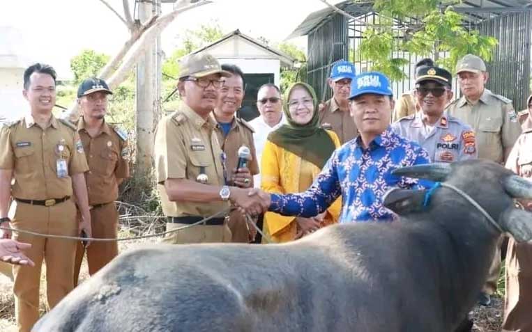 Bupati Pesisir Barat serahkan hewan kurban secara simbolis