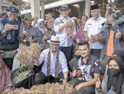 Menteri Pertanian Sibuk dengan Perhelatan Rp100 Miliar di Padang, KPK Memanggil Pula ke Jakarta