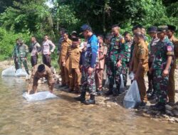 Peserta Latsitardanus Tebar 6.000 Benih Ikan di Batang Sumpur