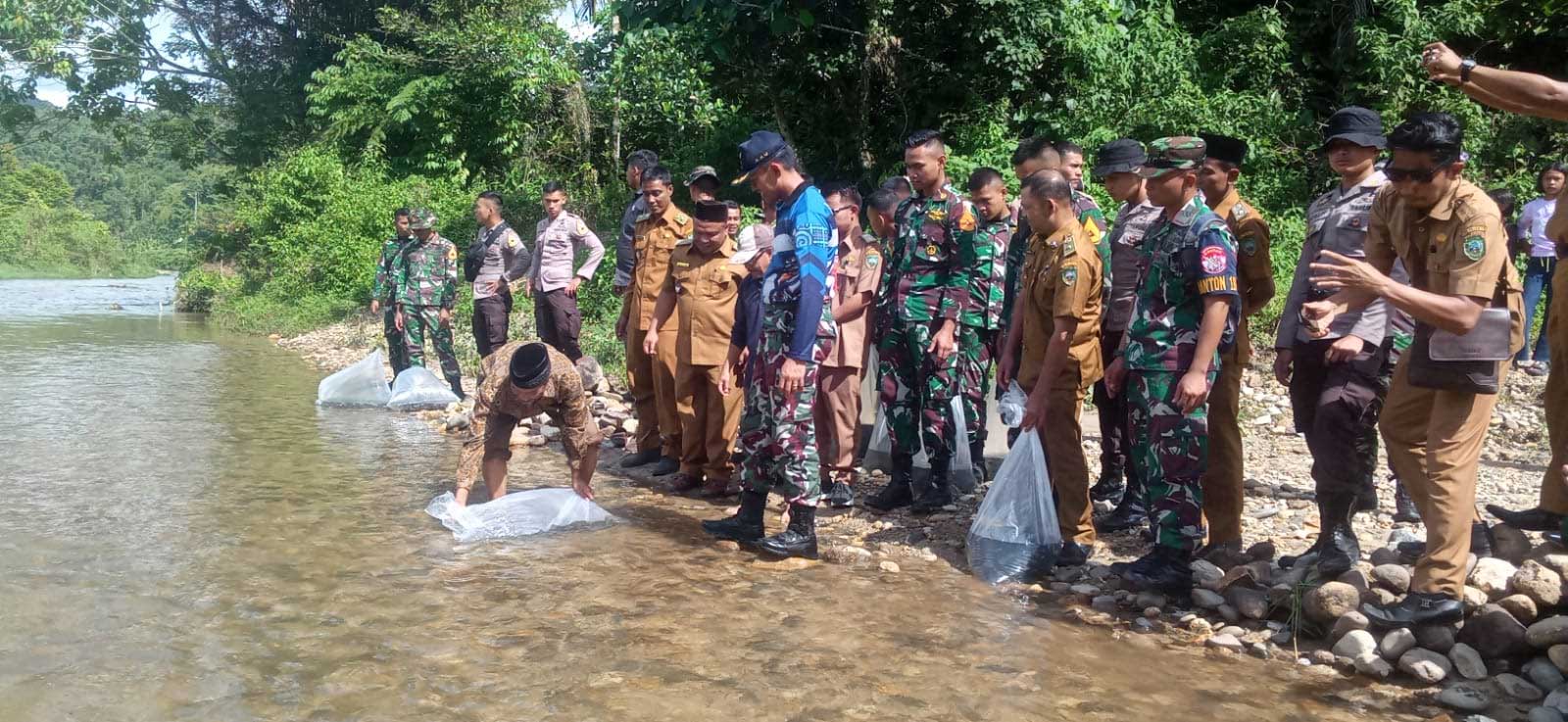 Tebar bibit ikan di Batang Sumpur, Jorong Kampung Rarak, Pasaman