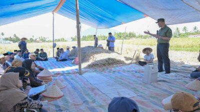 Gubernur dialog dengan warga saat panen Kelompok Tani Amor di Nagari Koto Tangah, Kecamatan Tilatang Kamang, Agam, Jumat (16/6/2023).