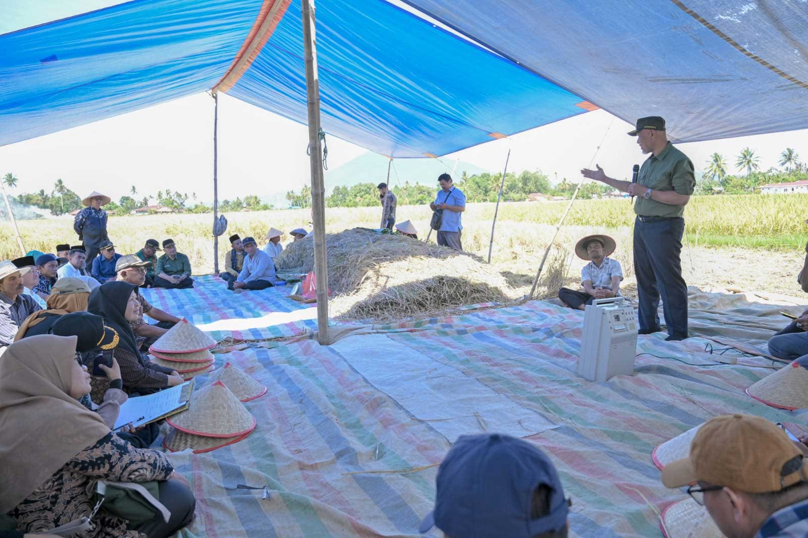 Gubernur dialog dengan warga saat panen Kelompok Tani Amor di Nagari Koto Tangah, Kecamatan Tilatang Kamang, Agam, Jumat (16/6/2023).
