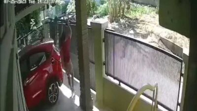 Aksi pencurian sepeda di Pekanbaru yang terekam kamera pengintai (CCTV). (riau.go.id)