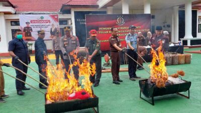 Kejari Dharmasraya Musnahkan Barang Bukti Tindak Pidana, Ada Sabu dan Senjata Api