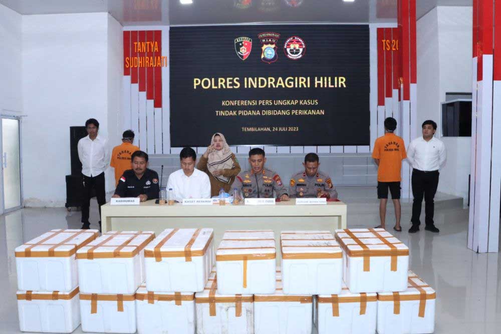 Polres Inhil berikan keterangan pers terkait pengungkapan penyeludupan benih lobster. (riau.go.id)
