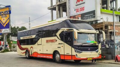 Jalur Sumbar-Jakarta Makin Ramai, Ini Empat Pendatang Baru yang Sukses