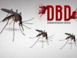 Kasus DBD: Pekanbaru Paling Banyak, Meranti Paling Sedikit 4 Kasus DBD: Pekanbaru Paling Banyak, Meranti Paling Sedikit