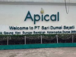 Apical Group Buka Lowongan, IP Minimal 3, Ini Link Pendaftaran 6 Apical Group Buka Lowongan, IP Minimal 3, Ini Link Pendaftaran