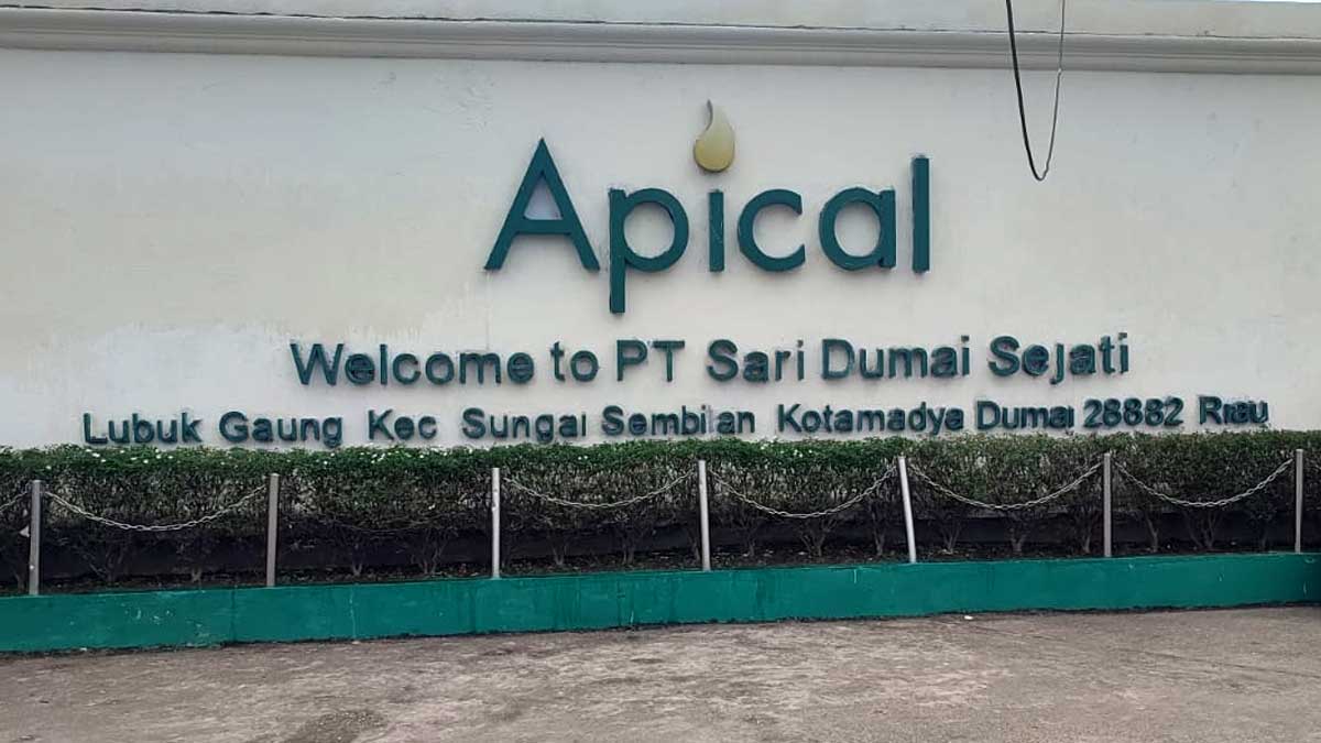 apical