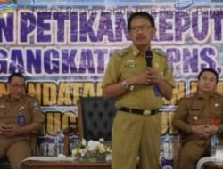 Serahkan SK Pengangkatan Pegawai Pemkab, Bupati Pesisir Barat: Jaga Amanah