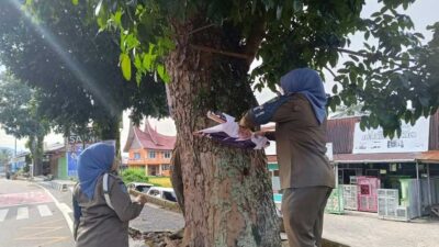 Petugas copot baliho yang dipasang di pohon. (kominfo)