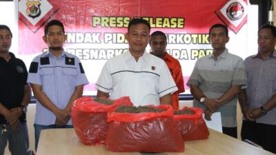 Barang bukti berupa ganja yang diamankan polisi