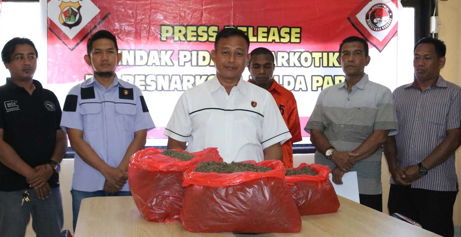 Barang bukti berupa ganja yang diamankan polisi