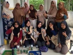 Mahasiswa KKN Unand Ajarkan Pembuatan Hidroponik pada Kelompok Dasawisma di Desa Talawi Hilie