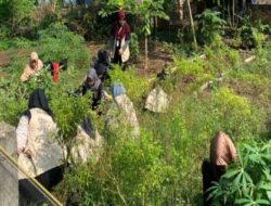 Mahasiswa KKN Unand Kolaborasi dengan PKK Desa Talawi Hilie, Banyak Kegiatan Diaktifkan