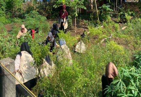 Kegiatan mahasiswa KKN Unand di Desa Talawi Hilie