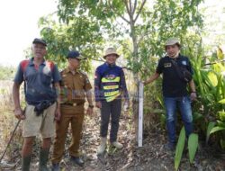 Pemerintah Kabupaten Pesisir Barat Pasang Patok Batas Atar Labuay, Ini Tujuannya 11 Pemerintah Kabupaten Pesisir Barat Pasang Patok Batas Atar Labuay, Ini Tujuannya