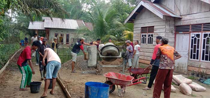 Pengecoran yang dilakukan Tim Pelaksana Kerja atau TPK Desa Kasang Limau Sundai ini berada di jalan lingkungan Kampung RT 05/RW 03 Dusun 03.