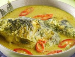 Data Konsumsi Ikan Warga Tanah Datar, Lebih Rendah dari Provinsi, Jauh di Bawah Nasional