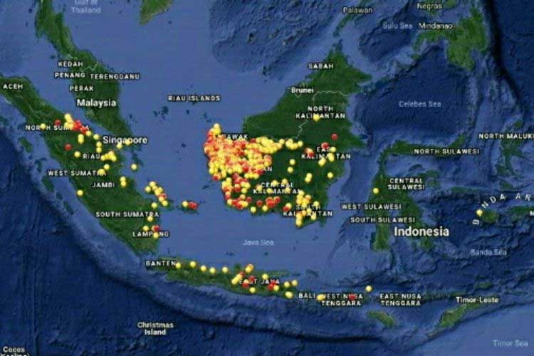 Ilustrasi titik api. (kompas.com)