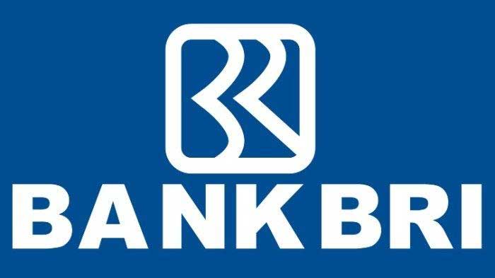 logo bri