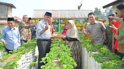 Masyarakat Makin Peduli Pangan Sehat, Pertanian Organik Dipacu di Sumbar